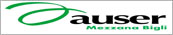 Auser